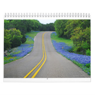Texas' Natural Beauty 2011 Calendar