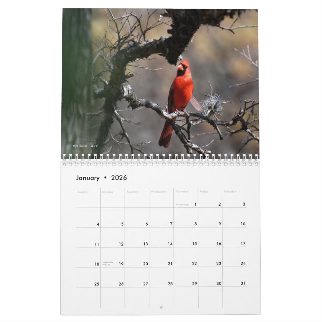 Texas' Natural Beauty 2011 Calendar (Jan 2026)