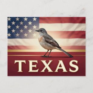 Texas Northern Mockingbird American Heritage Postcard