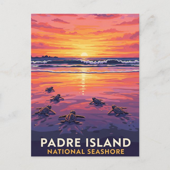 Texas Padre Island National Seashore Postcard (Front)