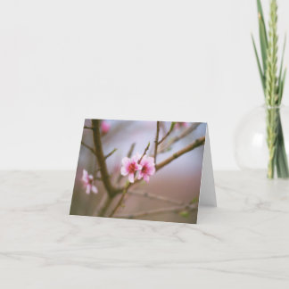 Texas Peach Blossoms Card