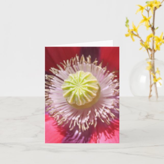 Texas Pink Skullcap Inspirational Note Card (Yellow Flower)