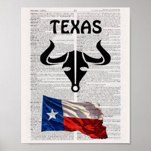 TEXAS Poster