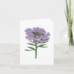 Texas Prairie Verbena Blank Note Card