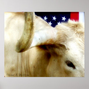 Texas Proud Poster