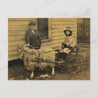 Texas Ride Postcard