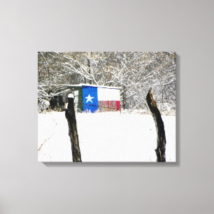 Texas Snow Canvas Print
