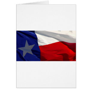 Texas State Flag