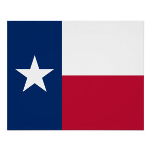 Texas State Flag Poster