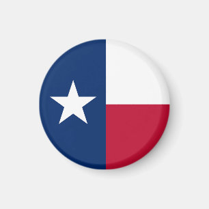Texas State Flag USA Magnet