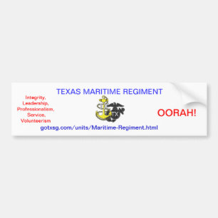 Texas State Guard Bumper Sticker