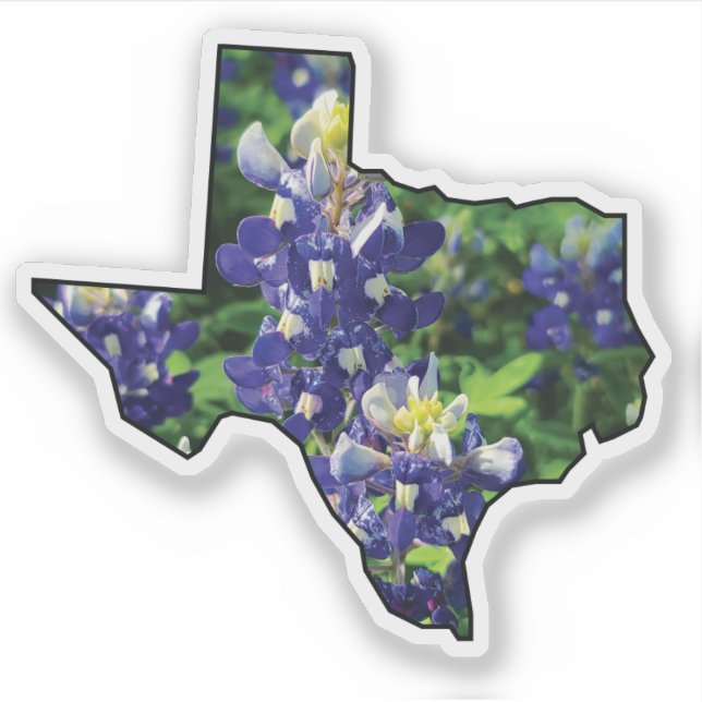 Texas State Outline with Bluebonnets (Front)