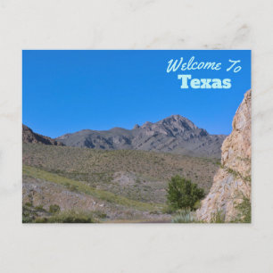 Texas State Postcard