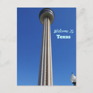 Texas State Postcard