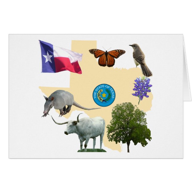 Texas State Symbols (Front Horizontal)