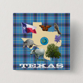 Texas State Symbols 15 Cm Square Badge