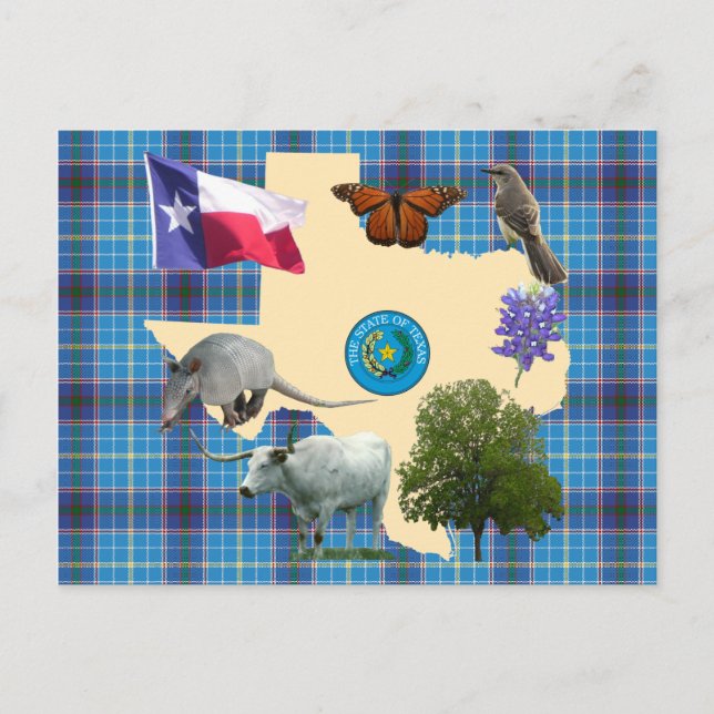 Texas State Symbols Postcard (Front)