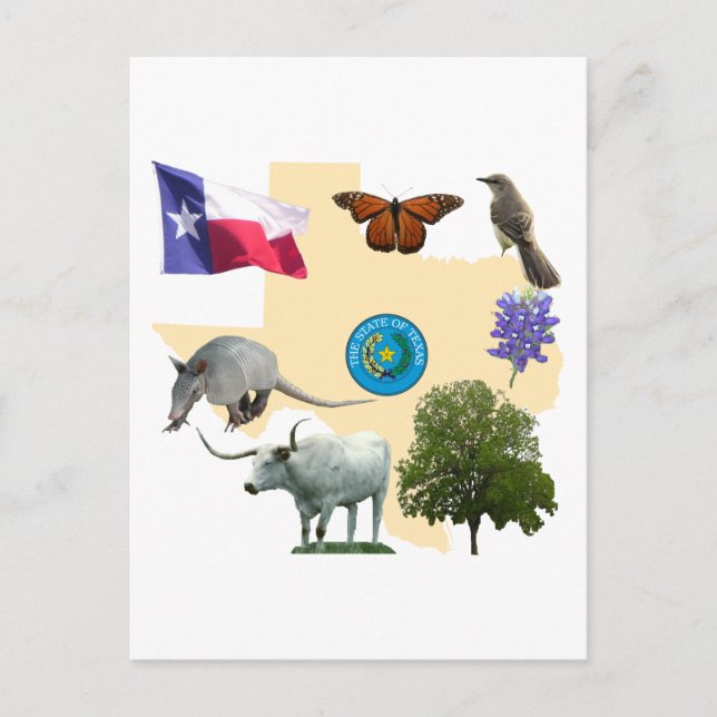 Texas State Symbols Postcard (Front)