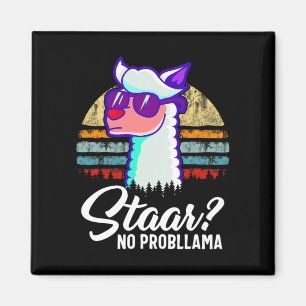 Texas State Test Day Llama Alpaca For Students  Magnet