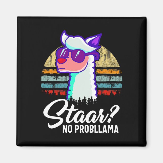 Texas State Test Day Llama Alpaca For Students  Magnet (Front)