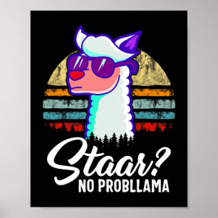 Texas State Test Day Llama Alpaca For Students  Poster
