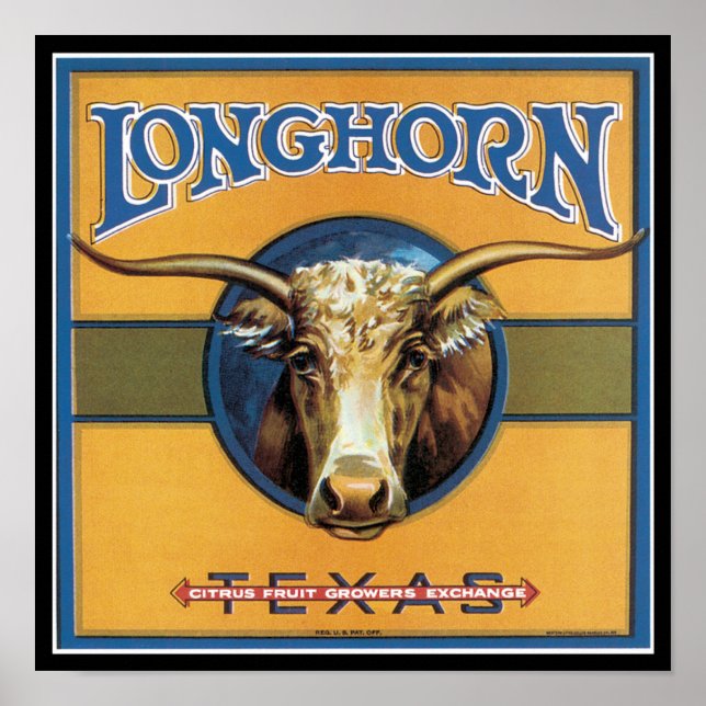 Texas Steer Longhorn Poster (Front)