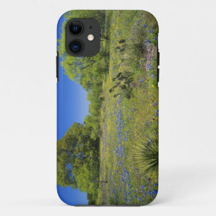 Texas, Texas Hill Country, Low bladderpod, iPhone 11 Case