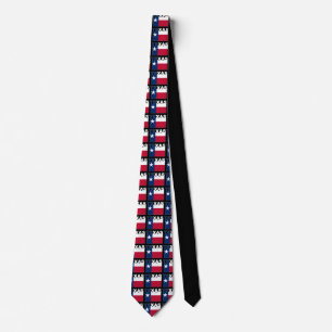 Texas Text Flag Tie