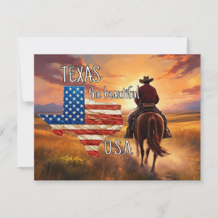 TEXAS the beautiful USA Postcard