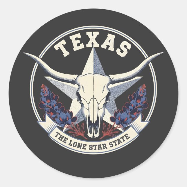 Texas: The Lone Star State Classic Round Sticker (Front)