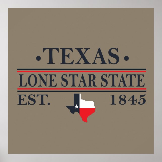 texas the lone star state contour poster (Front)