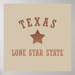 texas the lone star state contour poster
