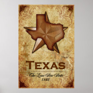 Texas - The Lone Star State Poster