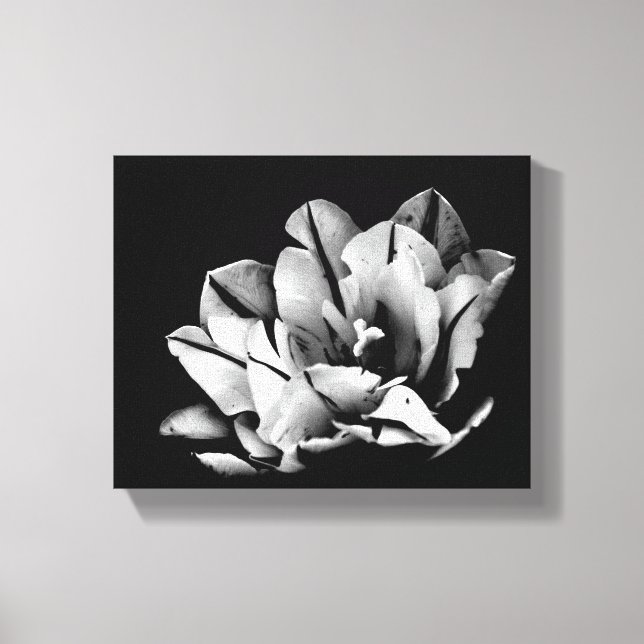 Texas Tulips Canvas Print (Front)