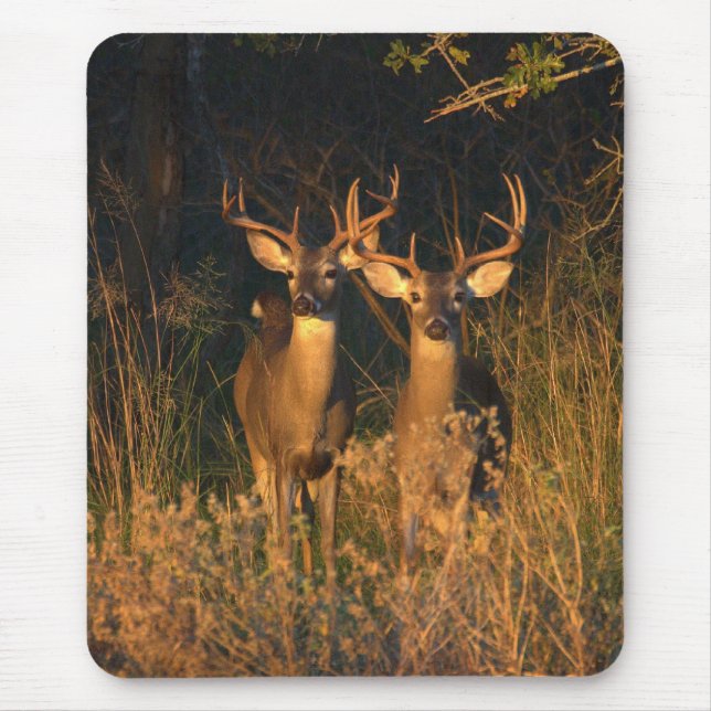 Texas Whitetails Mouse Mat (Front)