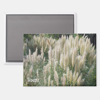 Texas Wild Flowers Magnet