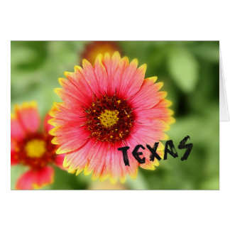 Texas Wildflower