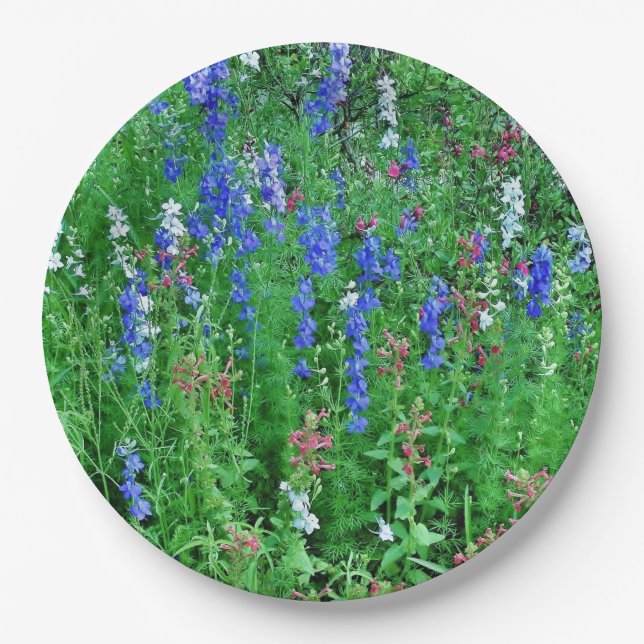 Texas Wildflower Field Paper Plates (Front)