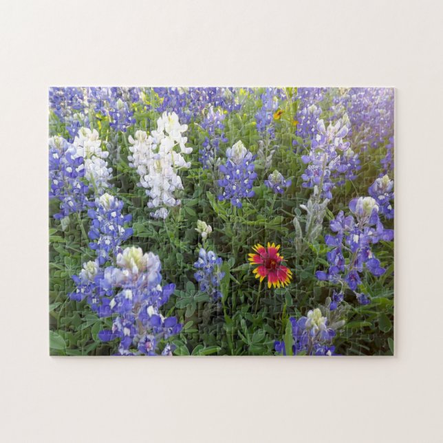 Texas Wildflowers 10x14 Puzzle (Horizontal)