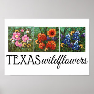 "Texas Wildflowers" 16.5" x 11" Poster