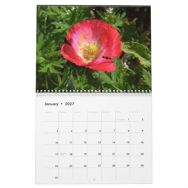 Texas Wildflowers Calendar (Jan 2027)