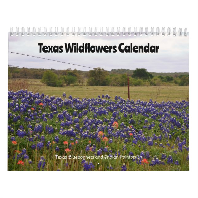 Texas Wildflowers Calendar (Cover)