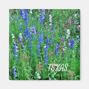 Texas Wildflowers Magnet