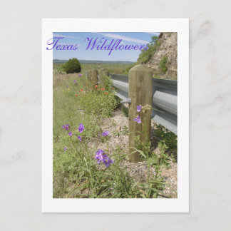 Texas Wildflowers Postcard