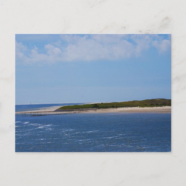 Texel Coastline Postcard (Front)
