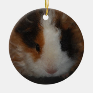 Texel Guinea Pig ornament