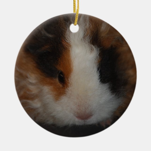 Texel Guinea Pig ornament (Front)