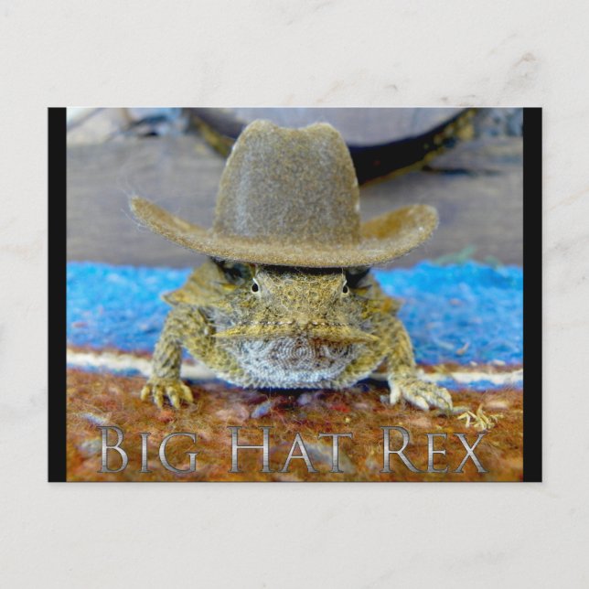 Texe's Cousin...bIg hAt rEx Postcard (Front)