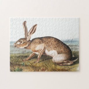 Texian Hare (Lepus Texianus) Rabbit Illustration Jigsaw Puzzle