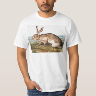 Texian Hare (Lepus Texianus) Rabbit Illustration T-Shirt